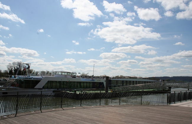 Les Hellebores - Foto 22