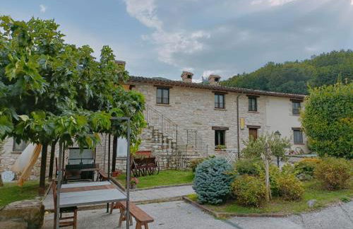 appartamento Colticciola Agriturismo Marche - Foto 2