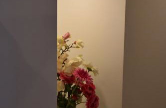 Setubal Courtyard Houses - PAINTERS HOUSE - Photo 11