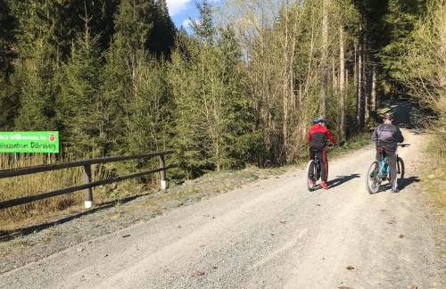 Tolle Ferienwohnung mit Loggia in Schauenstein 100qm bei Hof an der Saale Frankenwald - Foto 76