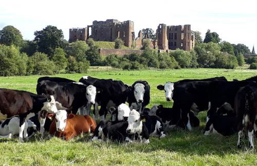 North Mere Rural Cottages - Foto 15