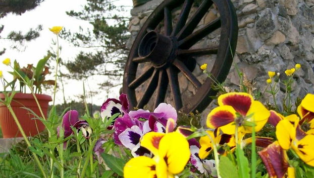 Holiday Home Vedran - Photo 2