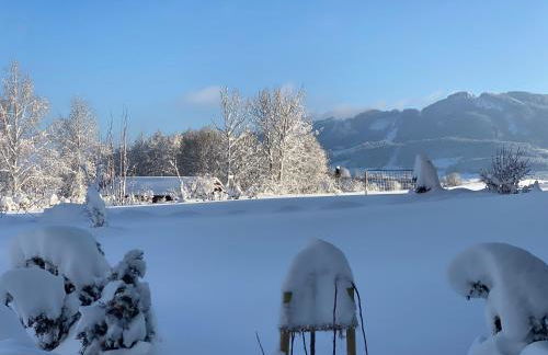 Ferienwohnung mit eigenem Garten und Bergblick - Foto 17