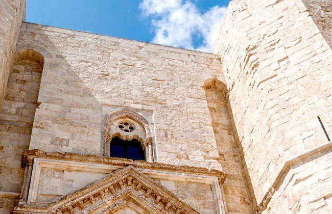 Visita guiada privada por el Castel del Monte - Foto 1