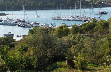 Ases Villa Lagonisi Halkidiki - Foto 39