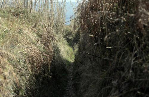 Apartment in Susak with air conditioning, W-LAN (3865-1) - Foto 1