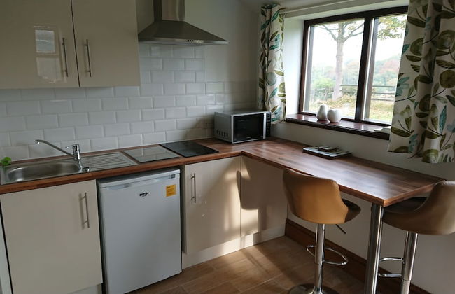 Open Plan Studio by Alton Towers - Foto 4