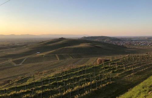 Holiday Apartment Kromer - Foto 47