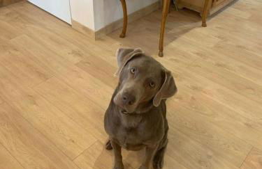 Luxuriöses Ferienhaus - Foto 23