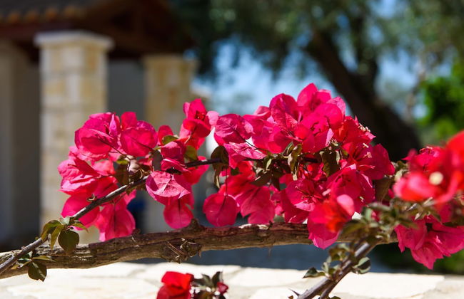 Luxury Villa Lemonia With Private Pool - Photo 43