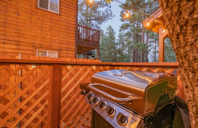 Sugar Pine - Foto 10