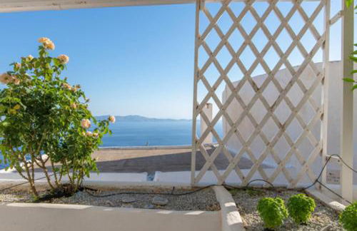 Myroviglia Ysternia - Foto 29