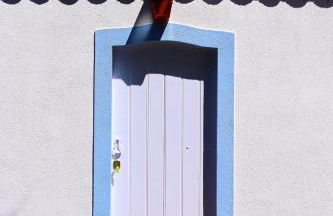 Quinta da Arrábida - Foto 24