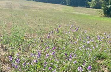 Home in Champagnac La Riviere with shared pool - Foto 39