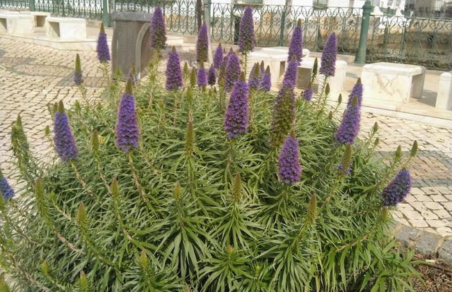 3-bed Apartment in Town Centre With Beach Access! - Foto 26