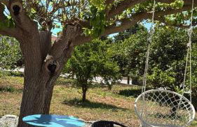 Εξοχικό elia lakonias - Foto 21