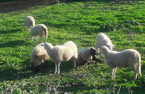 Little Penthouse with Open Terrace - Photo 28