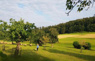 Ferienbauernhof - Foto 12