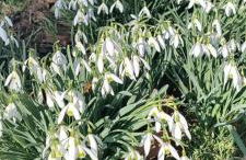 Achentaler Auszeit - Photo 6