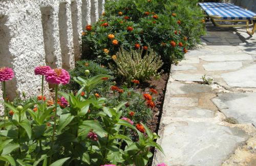 Alkioni Studios - Foto 64