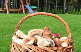 Dom Wakacyjny Złoto Północy na wyłączność, parking, plac zabaw, tarasy - Foto 43