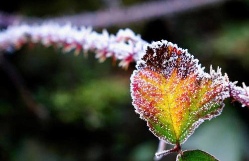 Apple Cottage: 19th Century Charm in Calder Valley - Foto 40