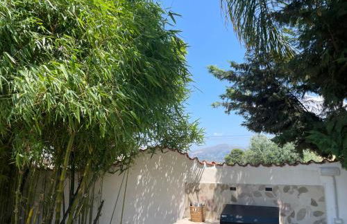 Villa Araucaria - Foto 44