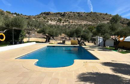 El Olivar de la Solana - Foto 4