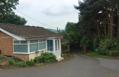 Chadwich Heights - Foto 1