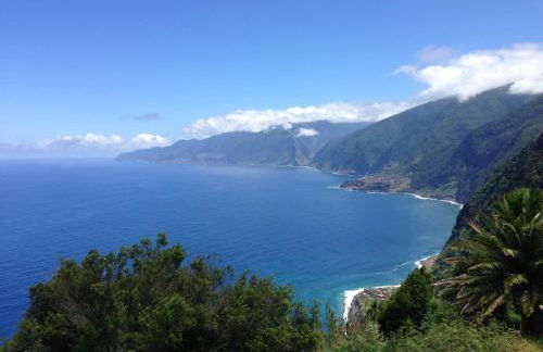 Blooming Botanic Houses - Foto 27