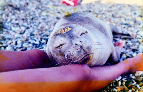 Pension Votsi - Photo 79