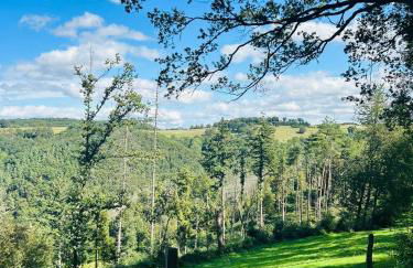 Villa Eifelblick Sauna&Wellness Apartment - Foto 34