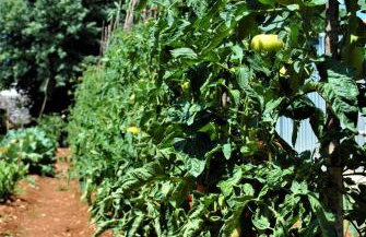 Apartment Pino - Foto 14