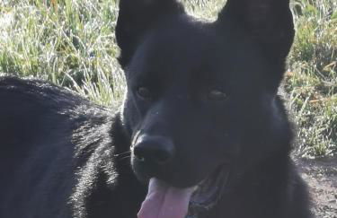 FeWo-AdOlTi - Foto 24