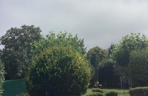 Corias Casona junto al Narcea - Foto 20