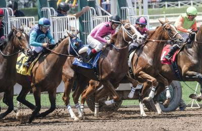 The Hamilton - Lakefront & Studio Suites, Hot Springs - Foto 14