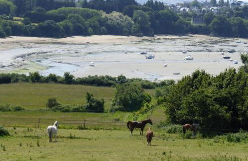 Apartment near Frémur & Sandy Beaches - Foto 9