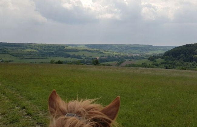 Charming Apartment in Mandelbachtal - Foto 16