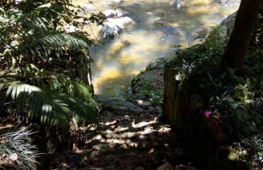 Casa da Cachoeira - Foto 65