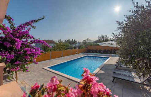 Apartman Bore - Foto 14