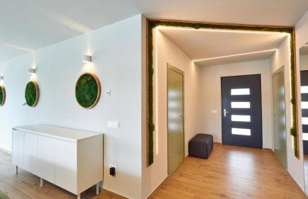 Green Forest - Photo 17