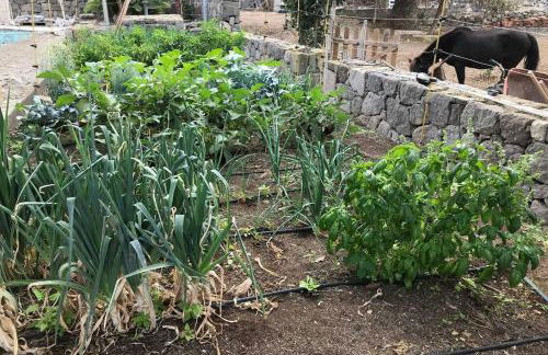 Casita Bioclimatica en el campo - Foto 27