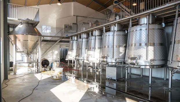 Cata de vinos en Quinta São Luiz - Foto 4, Maquinaría São Luíz