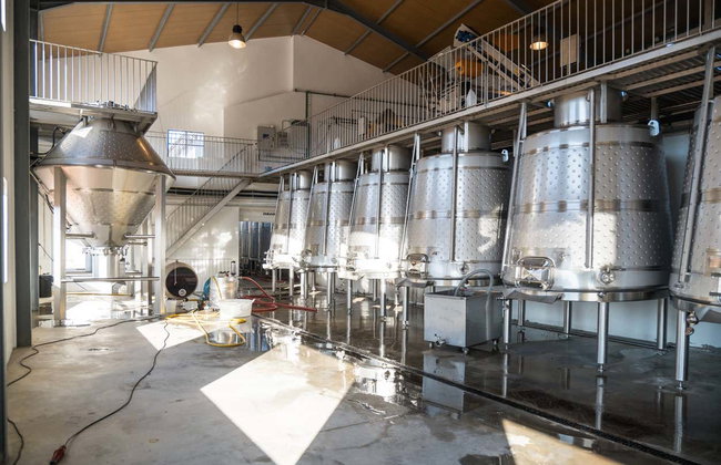 Cata de vinos en Quinta São Luiz - Foto 4