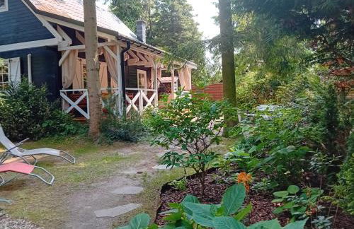 Black & White - Honey - Photo 13