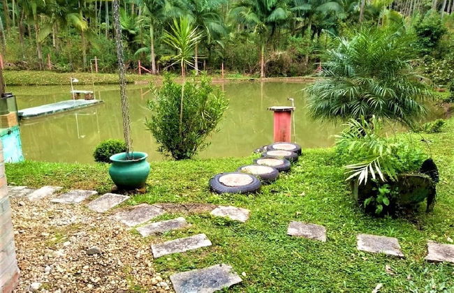 Sitio Libardo - Nova Trento - SC - Foto 52