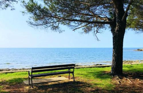 Apartment Appartement in Đuba mit Privater Terrasse by Interhome - Foto 16