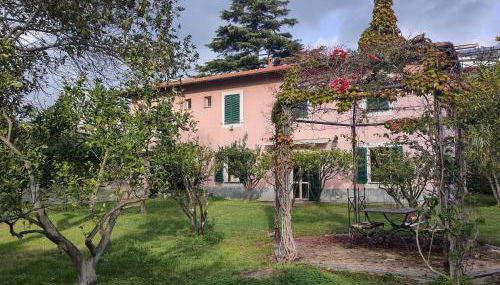 Andarosa - Photo 2, Garden