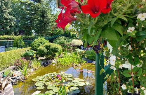 Top EG Rollstuhlwohnung 80qm zum Frühjahr- und Sommerpreis - Photo 39