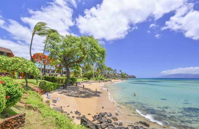 Kuleana 614 - 1Br Condo - Foto 91